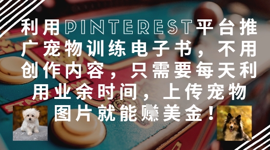 利用Pinterest平台推广宠物训练电子书，不用创作内容，只需要每天利用业余时间，上传宠物图片就能挣美金!-网创汇