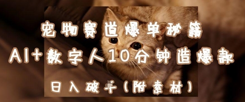 宠物赛道爆单秘籍：AI+数字人10分钟造爆款，日入1k-网创汇