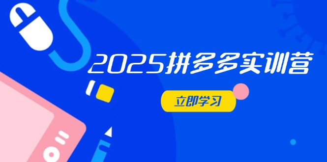 2025拼多多实训营：深度剖析运营关键，助力电商人快速提升-网创汇