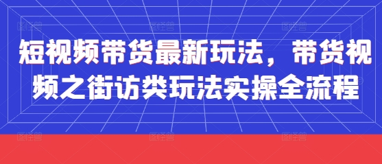 短视频带货最新玩法，带货视频之街访类玩法实操全流程-网创汇