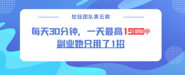 副业她只用了1招，每天30分钟，无脑二创，一天最高1.5k-网创汇