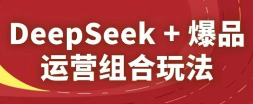 DeepSeek+爆品运营组合玩法，2025淘系精品课-网创汇