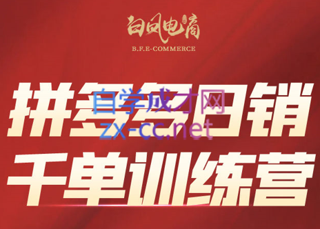 白凤电商·拼多多日销千单训练营(更新4月)-网创汇
