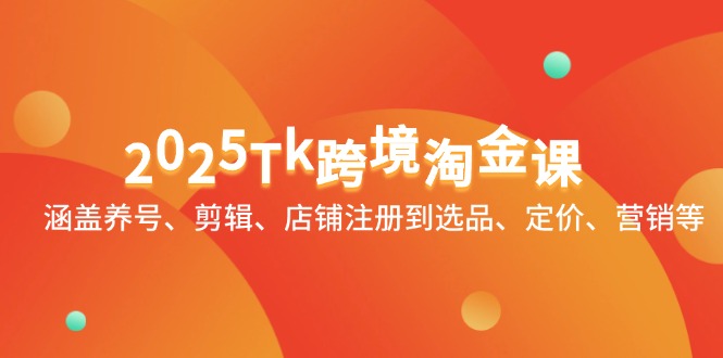 2025Tk跨境淘金课：涵盖养号、剪辑、店铺注册到选品、定价、营销等-网创汇