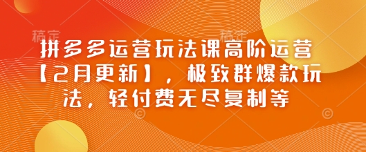 拼多多运营玩法课高阶运营【2月更新】，极致群爆款玩法，轻付费无尽复制等-网创汇