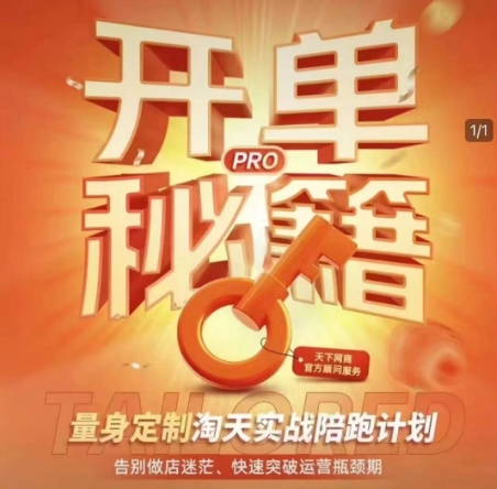 淘宝开单秘籍PRO，量身定制淘天实战陪跑计划，告别做店迷茫、快速突破运营瓶颈期(更新)-网创汇