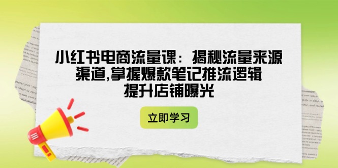 （14318期）小红书电商流量课：揭秘流量来源渠道,掌握爆款笔记推流逻辑,提升店铺曝光-网创汇