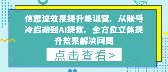 信息流效果提升集训营，从账号冷启动到AI提效，全方位立体提升效果解决问题-网创汇