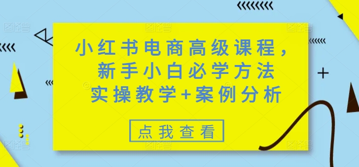 小红书电商高级课程，新手小白必学方法，实操教学+案例分析-网创汇