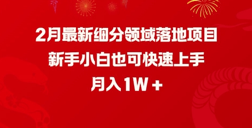 2月最新细分领域落地项目，新手小白也可快速上手，月入1W-网创汇