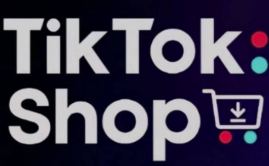 TikTokShop跨境电商0-1实战，手把手教你低成本启动海外市场(更新)-网创汇