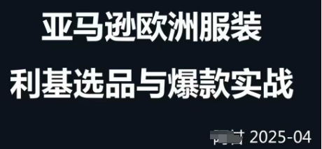 跨境电商选品案例24-25年，聚焦跨境电商选品策略与运营优化，助力卖家挖掘蓝海市场-网创汇
