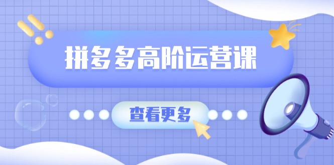 （14327期）拼多多高阶运营课：极致群爆款玩法，轻付费无尽复制，打造单品爆款之路-网创汇