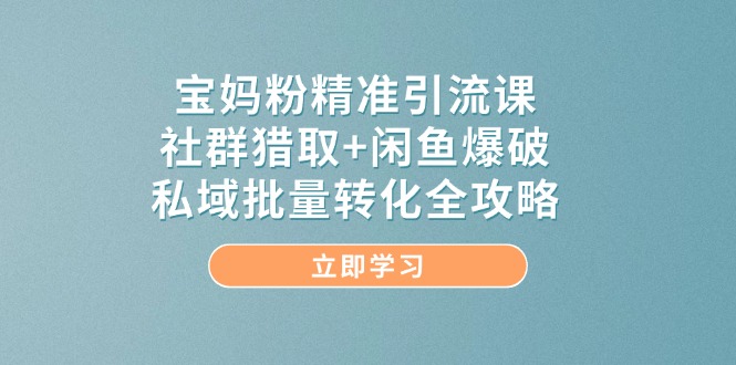 宝妈粉精准引流课，社群猎取+闲鱼爆破，私域批量转化全攻略-网创汇