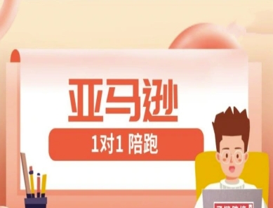 亚马逊1对1陪跑课(FBA/FBM精铺)跨境亚马逊教程-网创汇