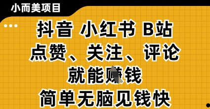 小而美的项目，抖音小红书B站视频点赞、关注、评论就能挣钱，简单无脑立见收益，妥妥的零撸项目【揭秘】-网创汇