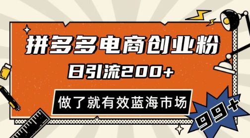 拼多多引流电商创业粉，日引200+，可矩阵放大，做了就有效【揭秘】-网创汇