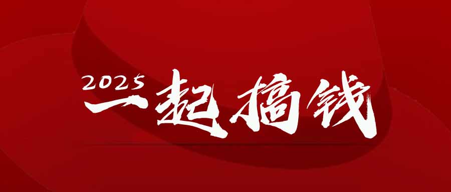 2025年，请“不择手段”去搞钱!-网创汇