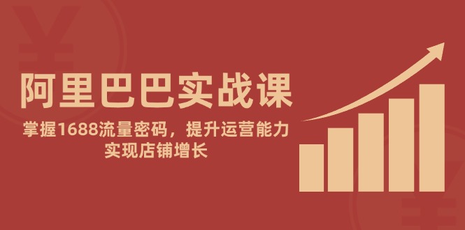 阿里巴巴实战课：掌握1688流量密码，提升运营能力，实现店铺增长-网创汇