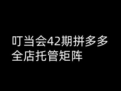 叮当会拼多多打爆班原创高阶技术第42期，拼多多全店托管矩阵-网创汇