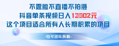 不露脸不直播不拍摄抖音单条视频日入1k+这个项目适合所有人长期积累的项目-网创汇